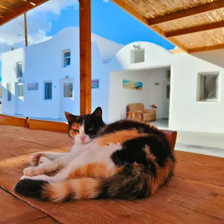 Hostel Viva! Santorini Santorini Island